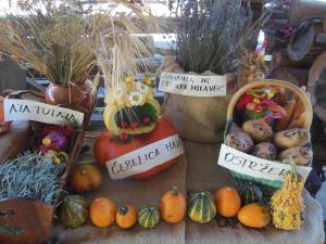 Gobarska razstava TD Pudgura_2017_4